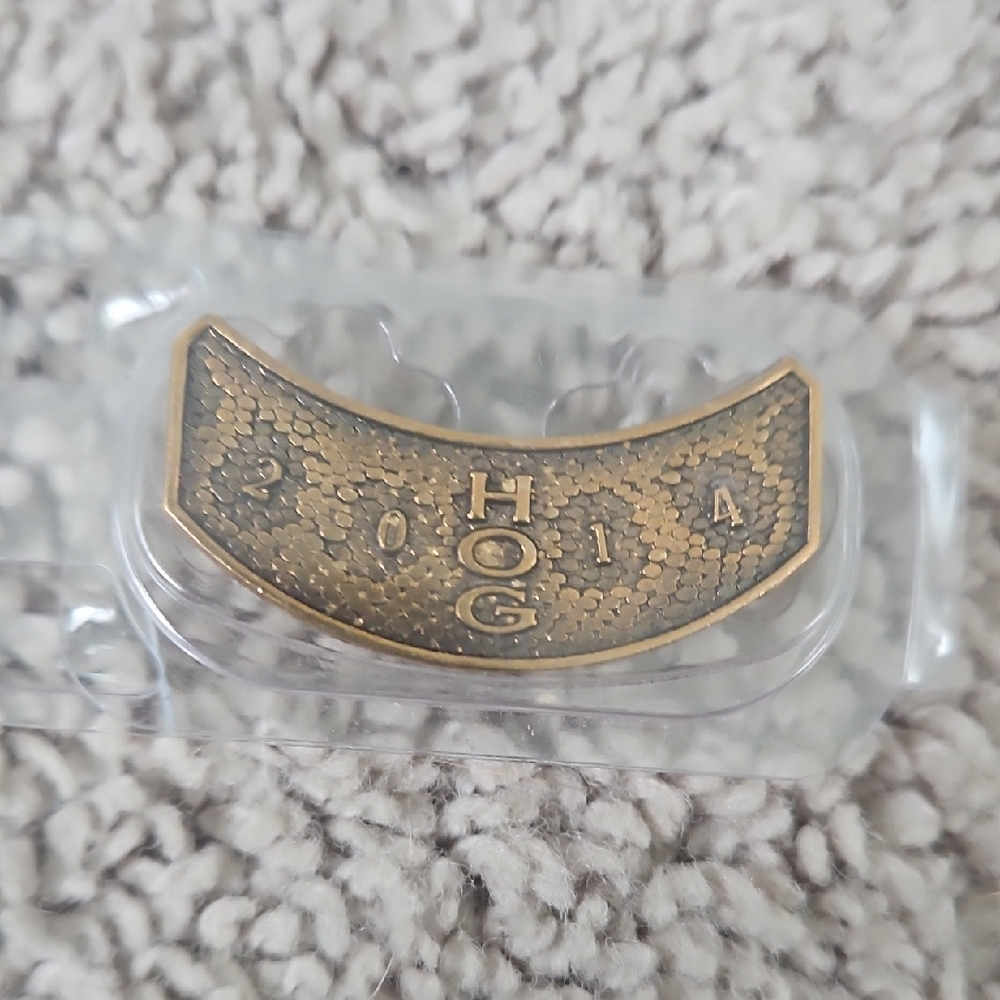 Harley-Davidson HOG 2014 Gold Pin
